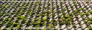 démoussage de toiture Yvelines