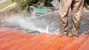 Quel prix pour démousser une toiture à Versailles